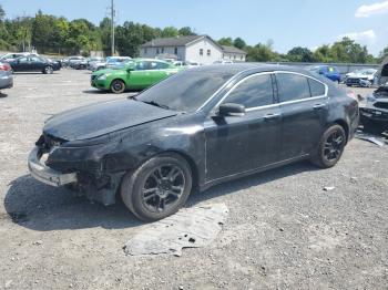  Salvage Acura TL