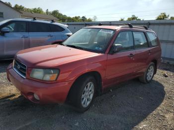  Salvage Subaru Forester