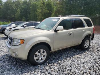  Salvage Ford Escape