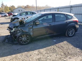  Salvage Ford Focus