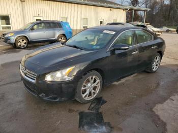  Salvage Nissan Maxima