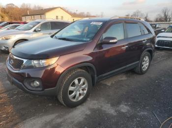  Salvage Kia Sorento