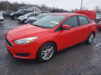  Salvage Ford Focus