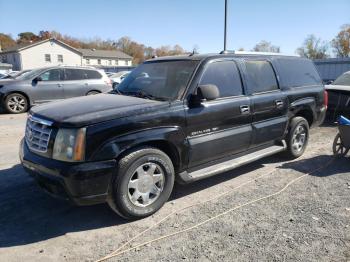  Salvage Cadillac Escalade