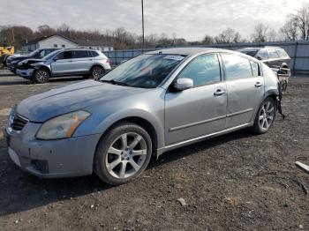  Salvage Nissan Maxima