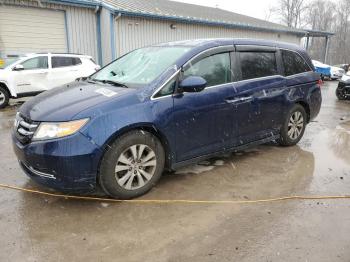  Salvage Honda Odyssey