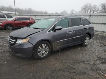  Salvage Honda Odyssey