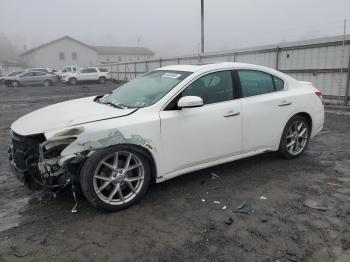  Salvage Nissan Maxima