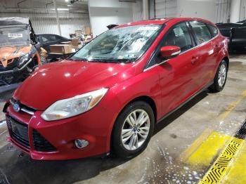  Salvage Ford Focus