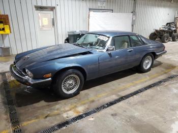  Salvage Jaguar Xjs