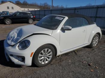  Salvage Volkswagen Beetle