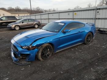  Salvage Ford Mustang