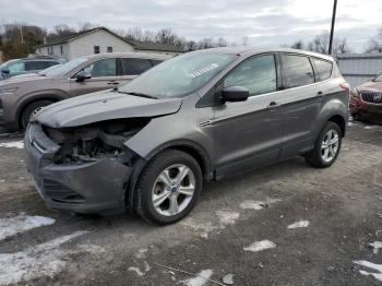  Salvage Ford Escape