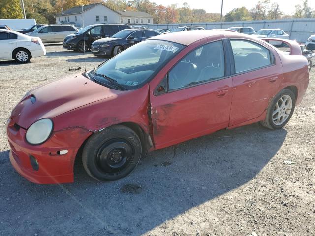  Salvage Dodge Neon