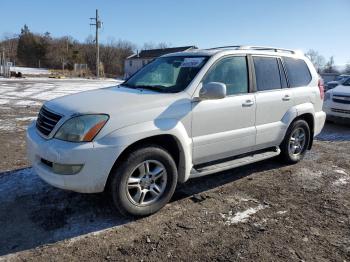  Salvage Lexus Gx