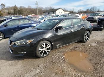  Salvage Nissan Maxima