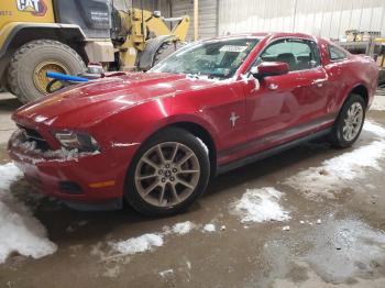  Salvage Ford Mustang