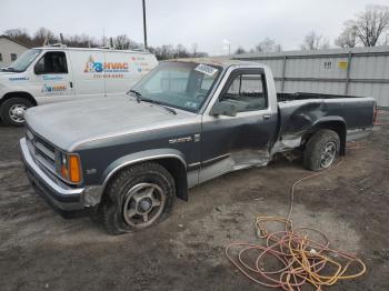  Salvage Dodge Dakota