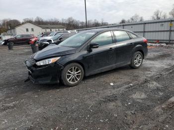  Salvage Ford Focus