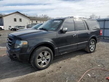  Salvage Ford Expedition