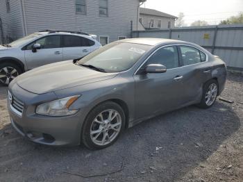  Salvage Nissan Maxima