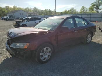  Salvage Hyundai SONATA