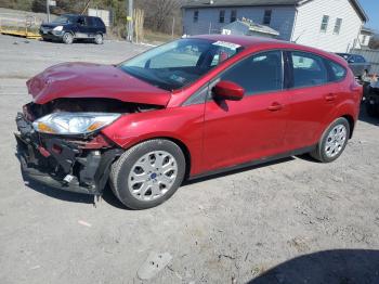  Salvage Ford Focus