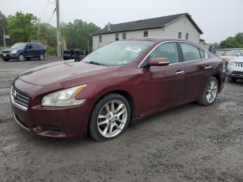  Salvage Nissan Maxima