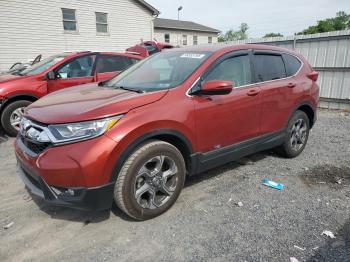  Salvage Honda Crv
