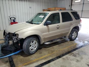  Salvage Ford Escape