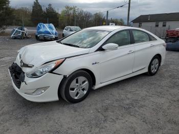  Salvage Hyundai SONATA