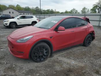  Salvage Tesla Model Y