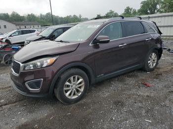  Salvage Kia Sorento