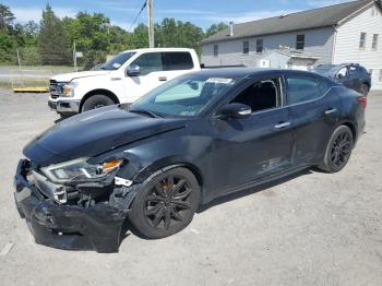  Salvage Nissan Maxima