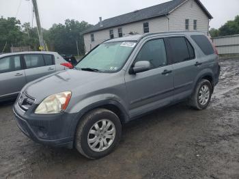  Salvage Honda Crv