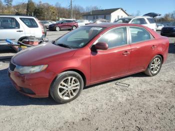  Salvage Kia Forte