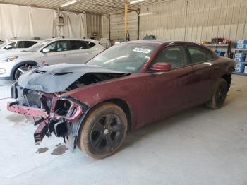  Salvage Dodge Charger