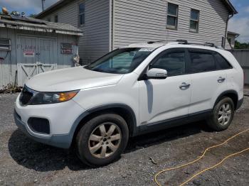  Salvage Kia Sorento