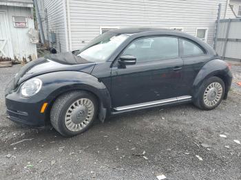  Salvage Volkswagen Beetle