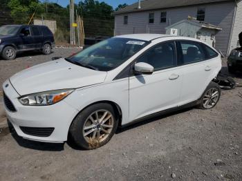  Salvage Ford Focus