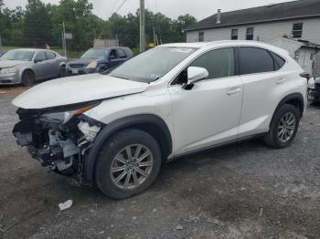  Salvage Lexus NX