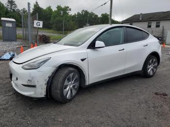  Salvage Tesla Model Y