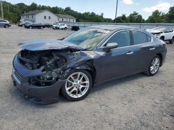  Salvage Nissan Maxima