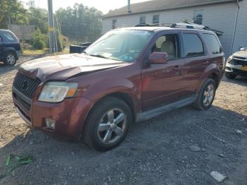  Salvage Mercury Mariner