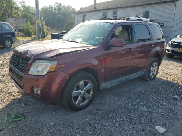  Salvage Mercury Mariner
