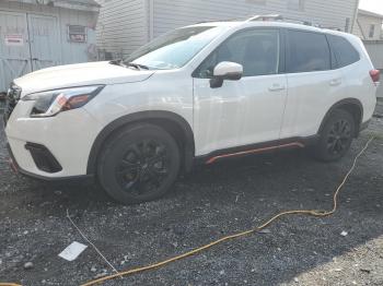  Salvage Subaru Forester
