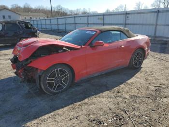  Salvage Ford Mustang