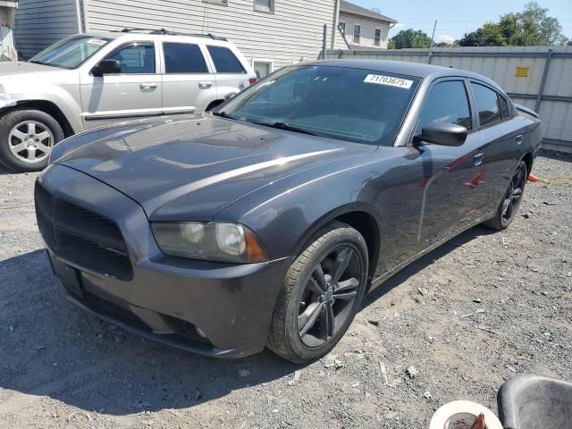  Salvage Dodg Charger