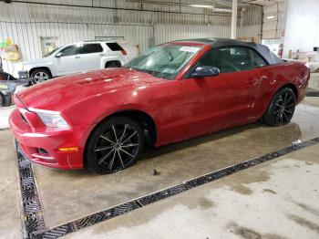  Salvage Ford Mustang