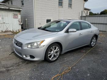 Salvage Nissan Maxima